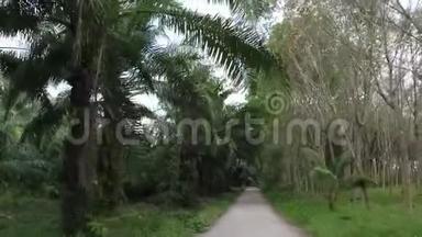 通过热带森林行动摄像机拍摄的前方道路景观